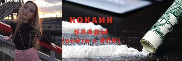 гидра Абаза